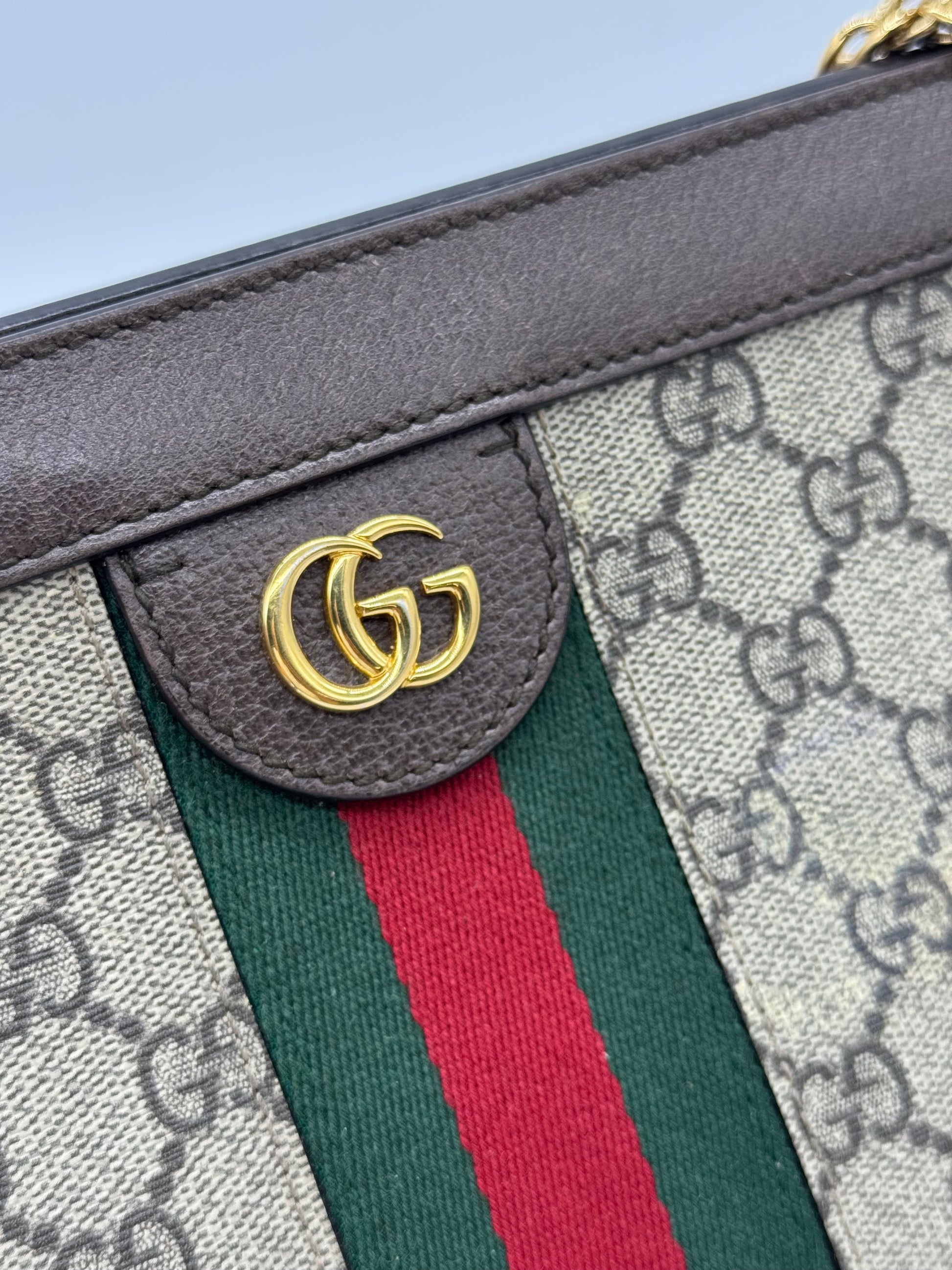 Dettaglio della borsa a spalla Borse Vintage Gucci Ophidia in tela GG Supreme con nastro Web e logo Double G dorato